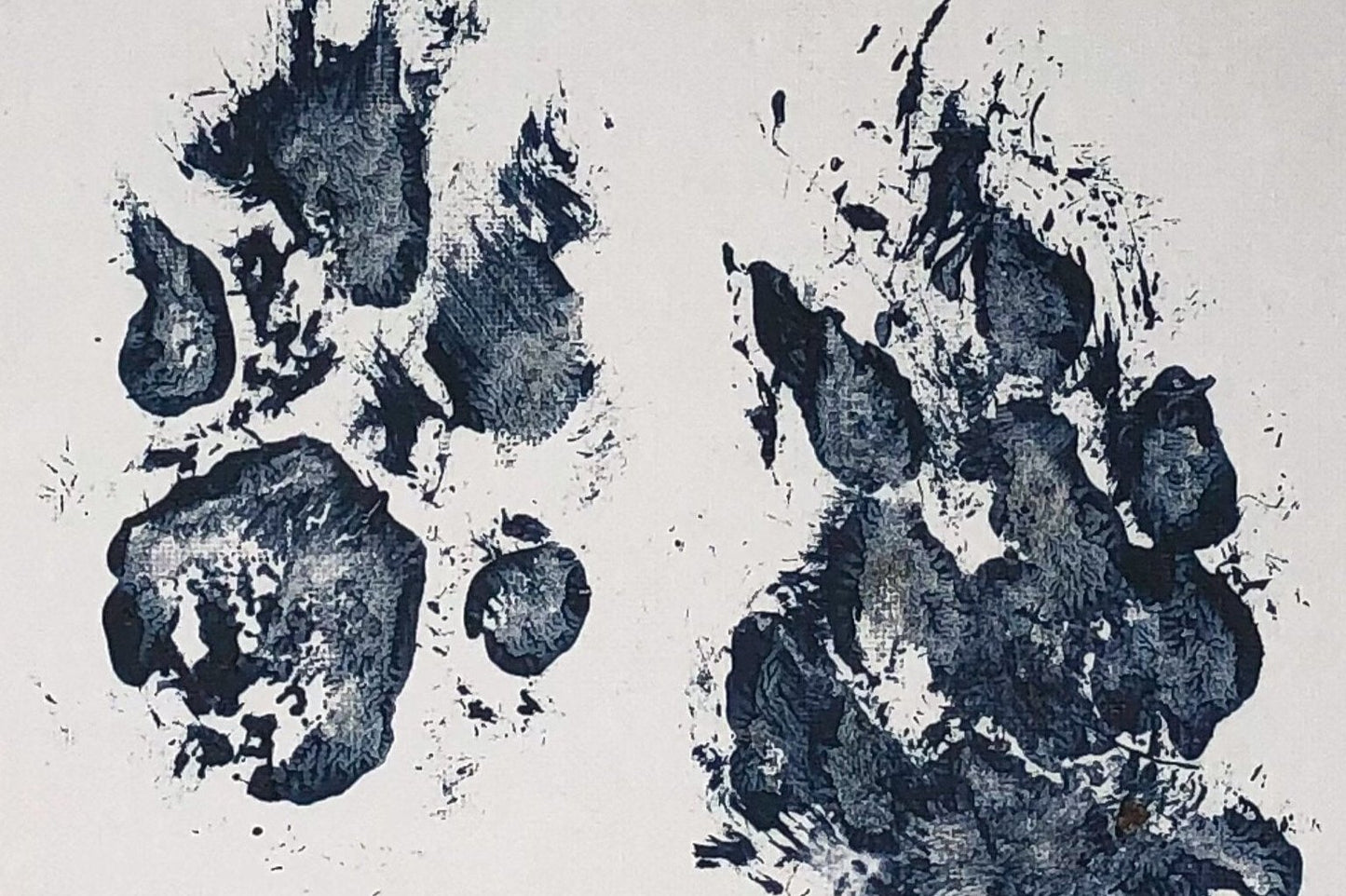 Cheetah Painting