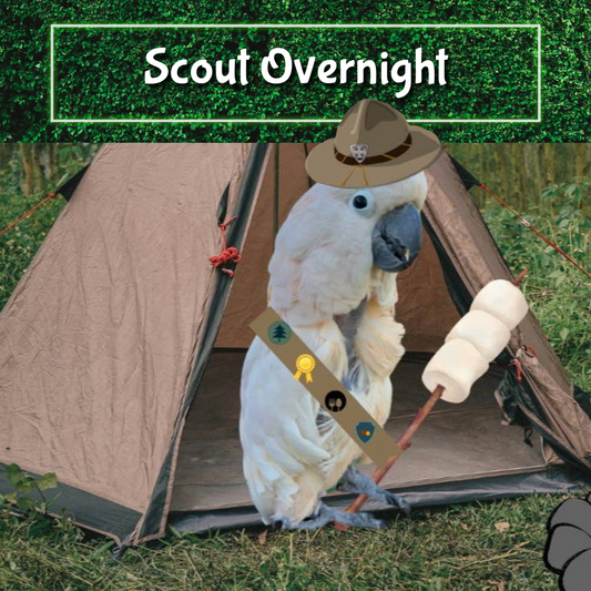 Scout Overnight
